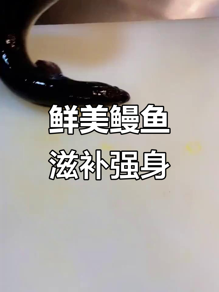 鳗鱼的美味与营养,清凉解暑又滋补