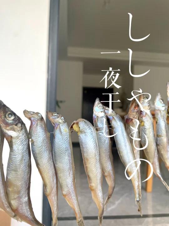 自制一夜干多春鱼～皮香籽多超好吃