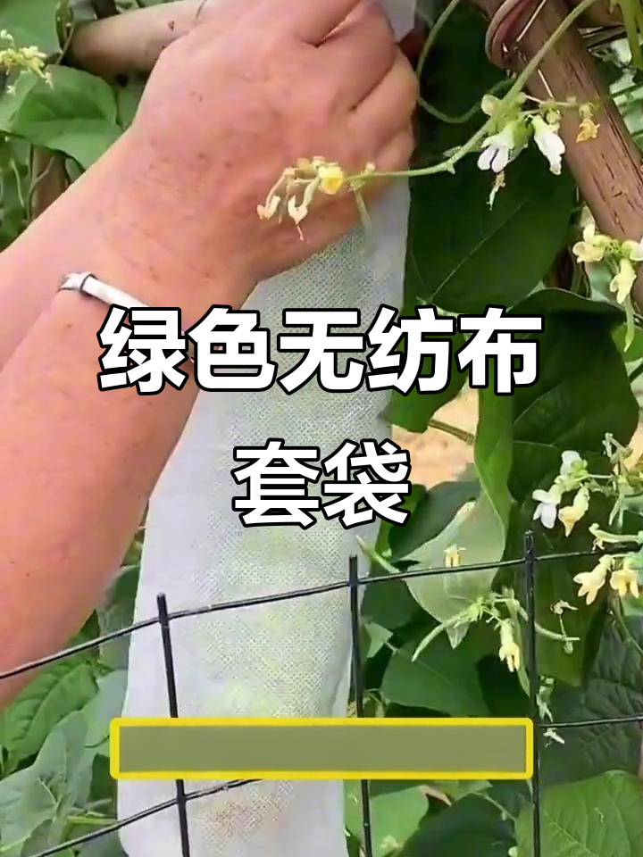 无纺布果蔬套袋，防虫透气又环保