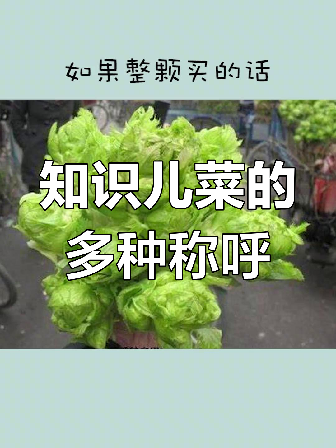 儿菜的不同叫法与价格差异