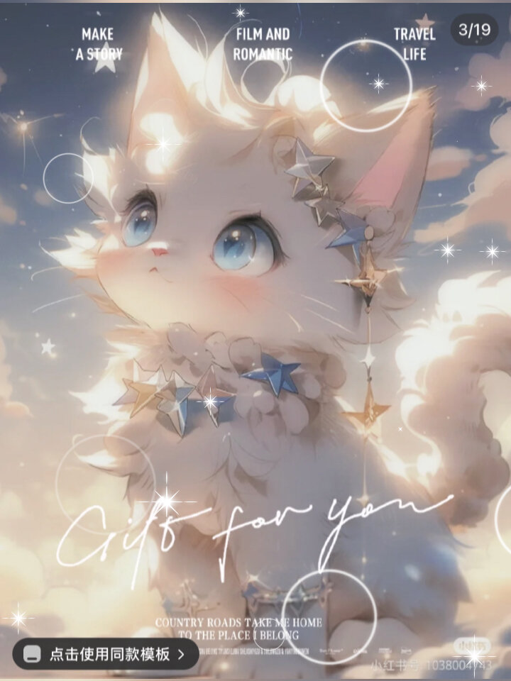 最可爱的小猫头像,快来刚换头像吧!
