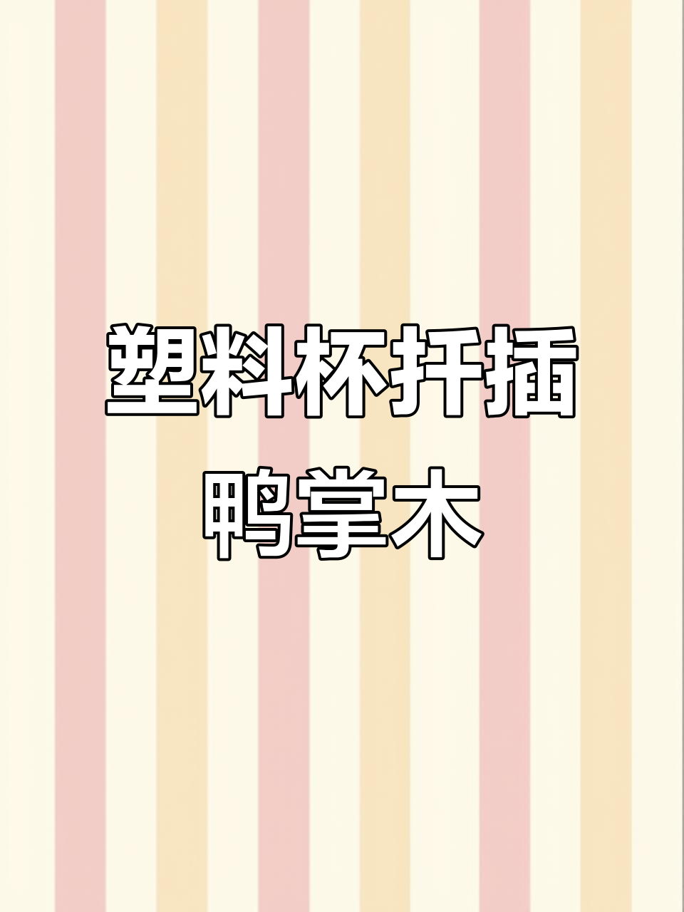 鸭掌木枝条扦插技巧,轻松成活新盆栽