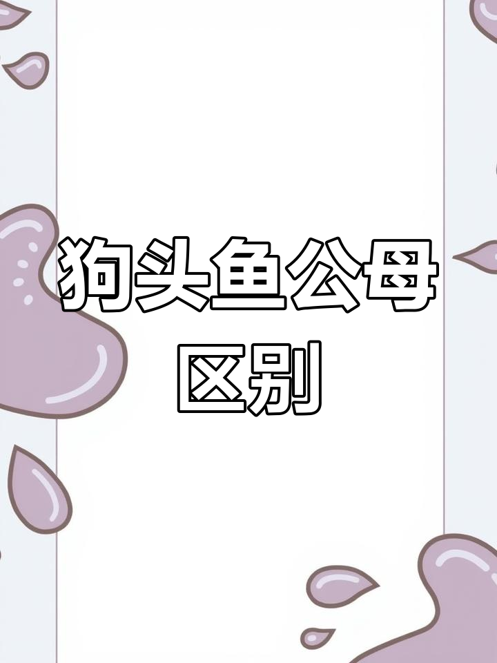 不同种类狗头鱼对比:公母差异揭秘