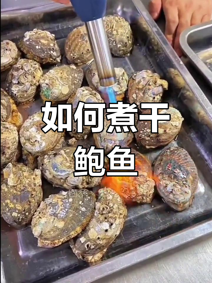 干鲍鱼的家常做法,简单又美味