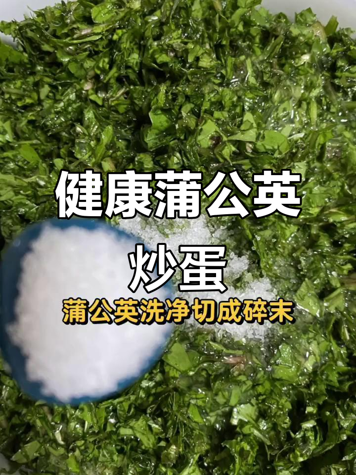 春季养生,蒲公英炒蛋,健康美味又瘦身
