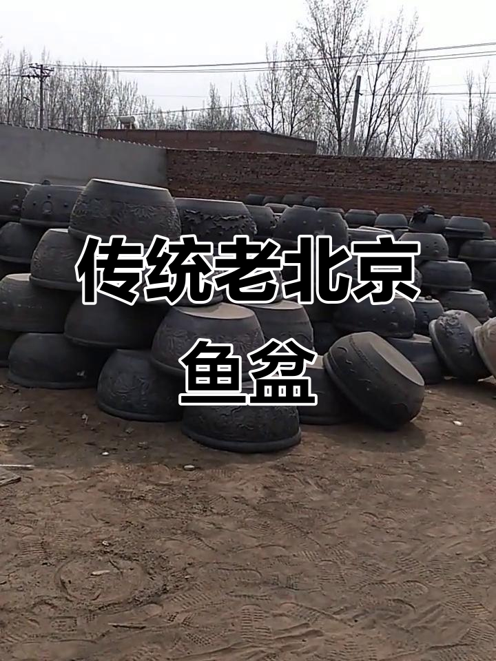 老北京鱼盆的魅力，精彩视频不容错过
