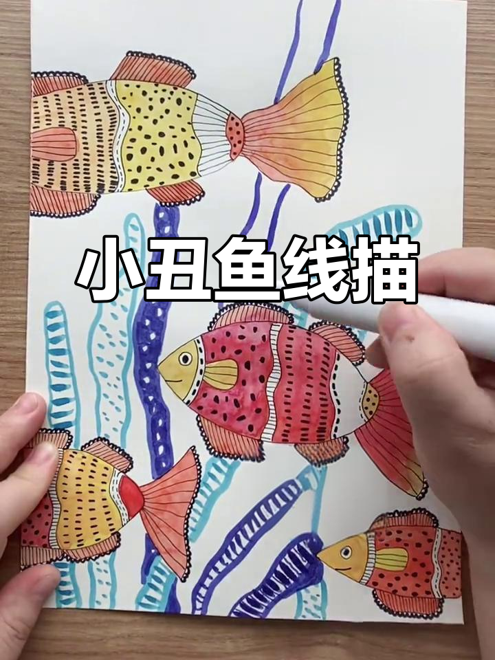 小丑鱼线描艺术,细节满满