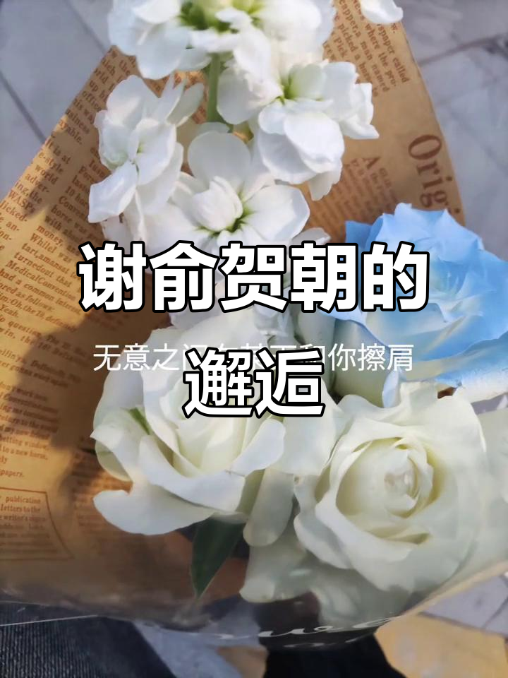 谢俞贺朝的奇妙相遇,星月下的缘分