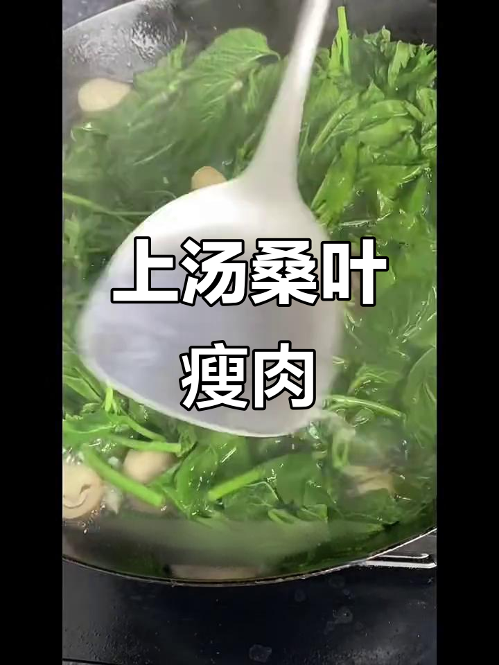 桑叶瘦肉汤,清热养肝又低卡,鲜美无比!