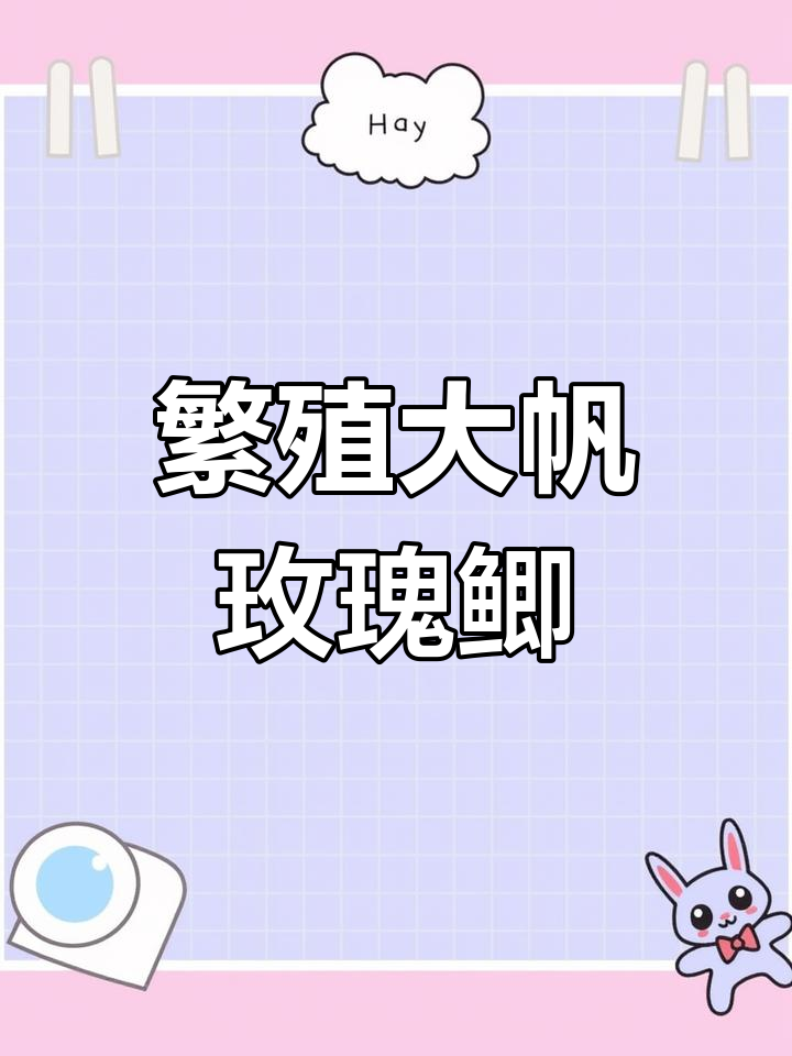大帆玫瑰鲫繁殖全攻略：如何分辨公母鱼，产卵技巧大揭秘