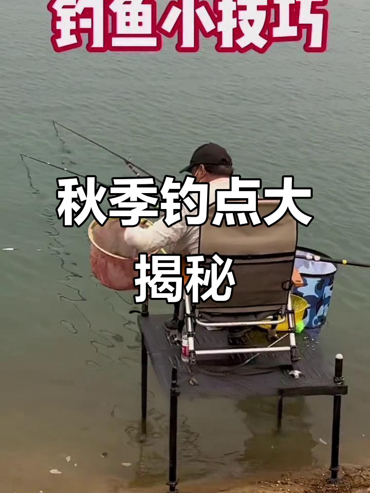 立秋后鱼藏哪儿?这四个位置钓鱼最容易得手