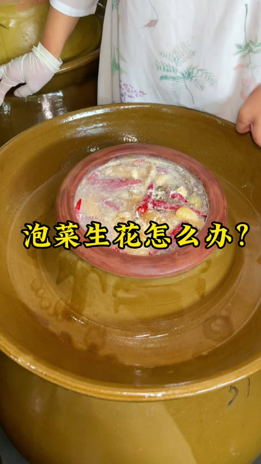 泡菜生花不要慌,学会这几个小妙招