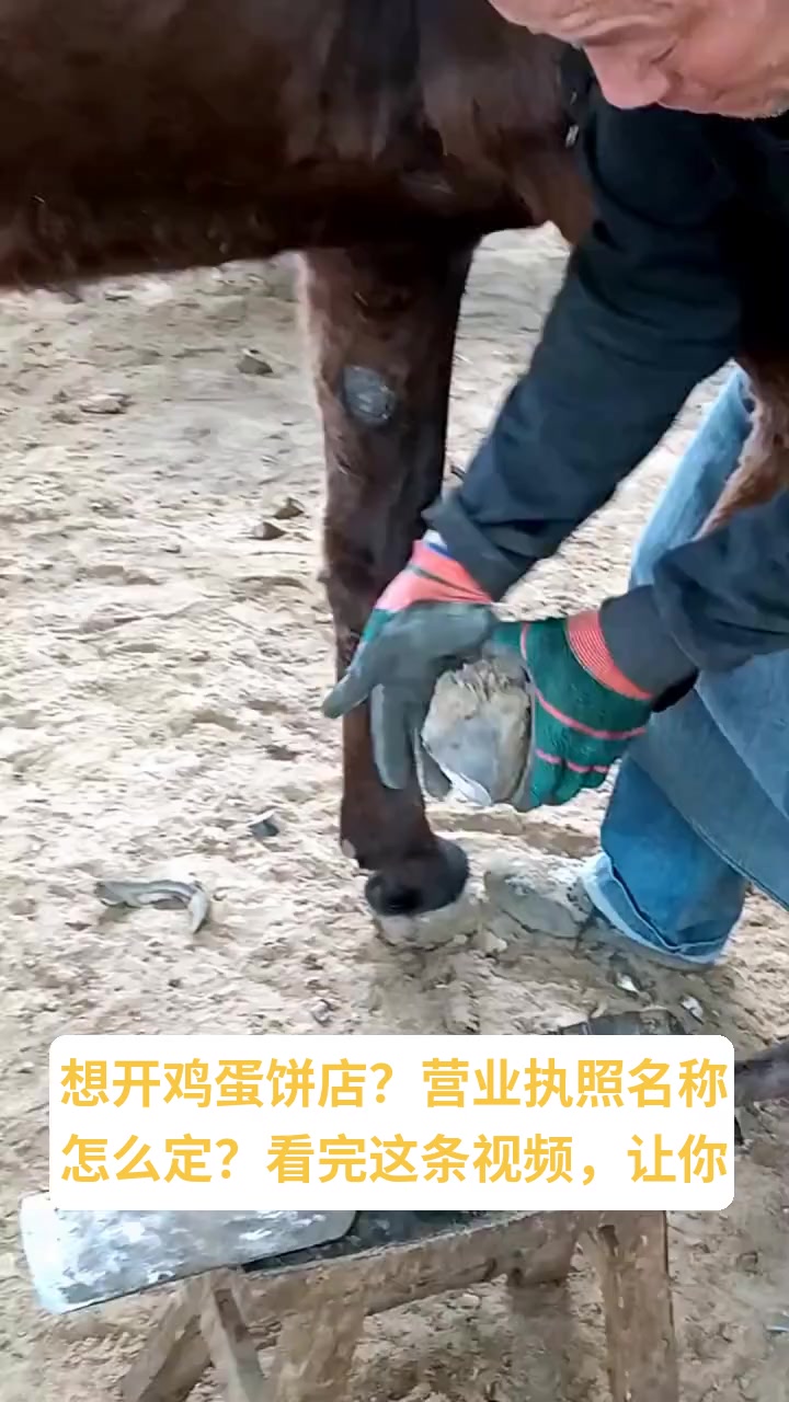 鸡蛋饼店名怎么取?看这里!