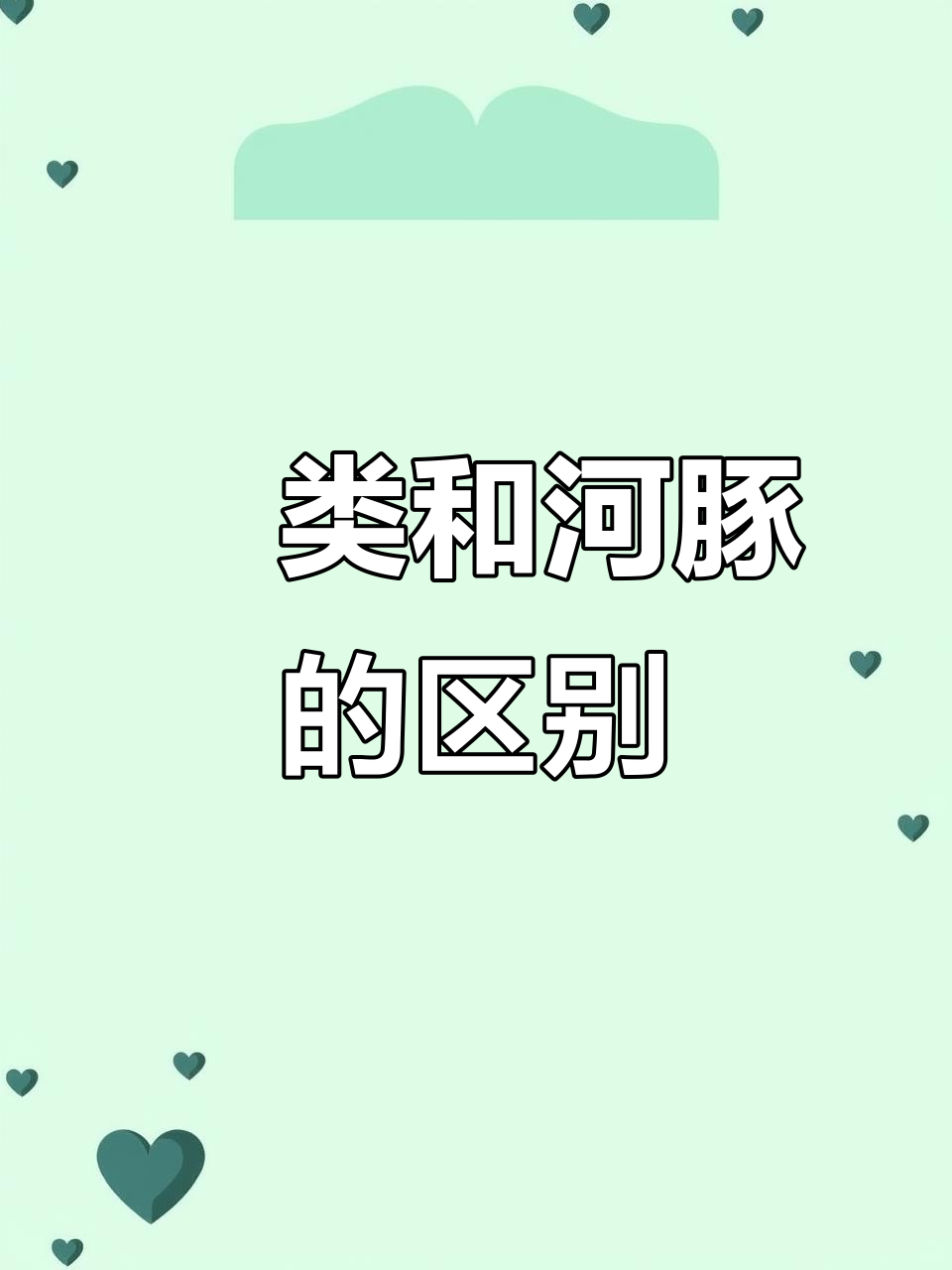 鲀类大揭秘:各种豚鱼的特征与分类