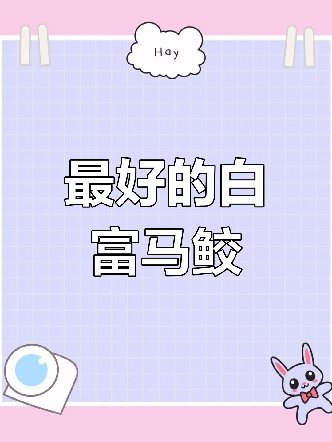 白腹马鲛鱼:真正的“爱马仕”马鲛,肉质鲜美无腥味