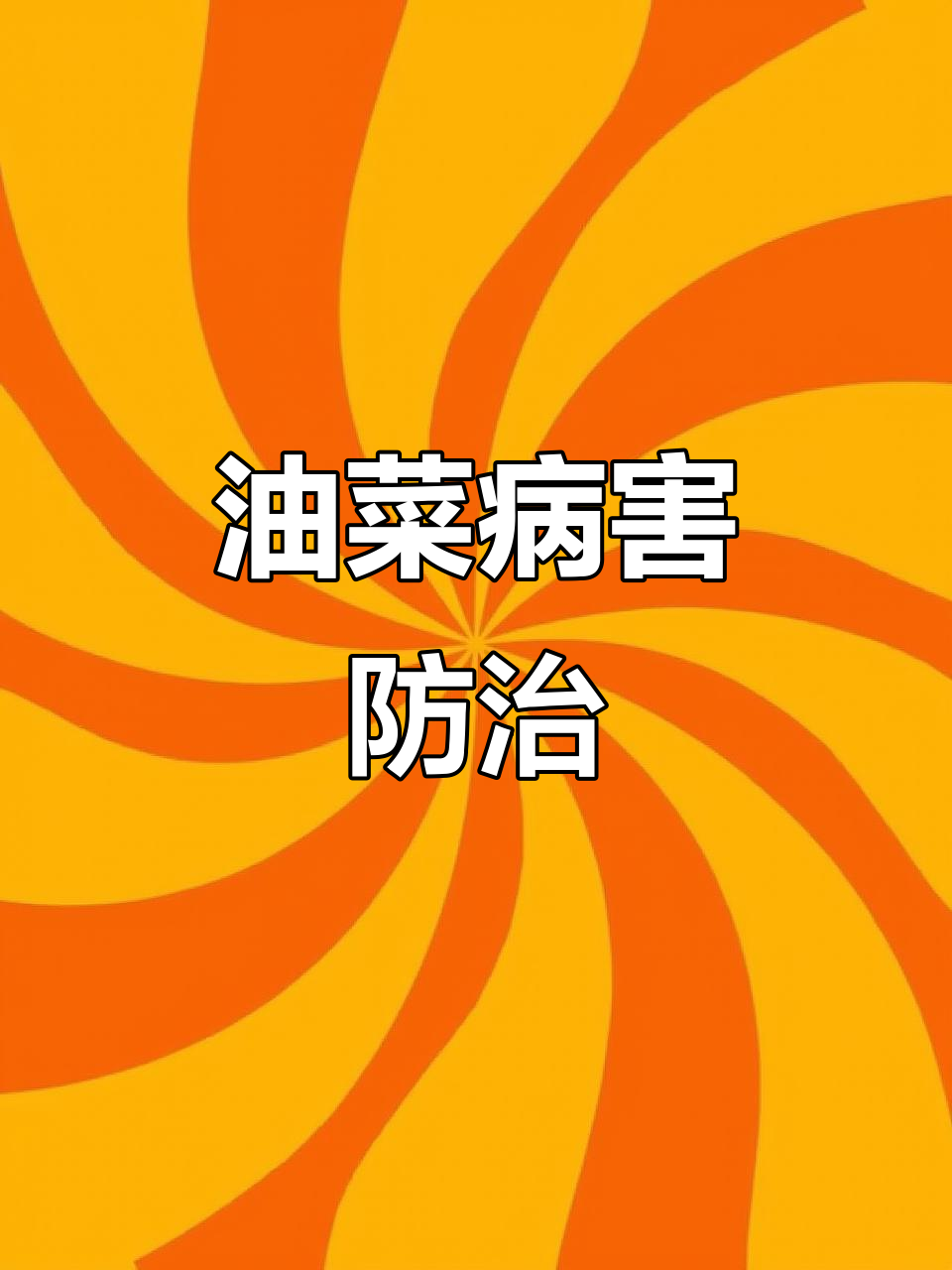 油菜常见病害识别与防治,助力丰收!