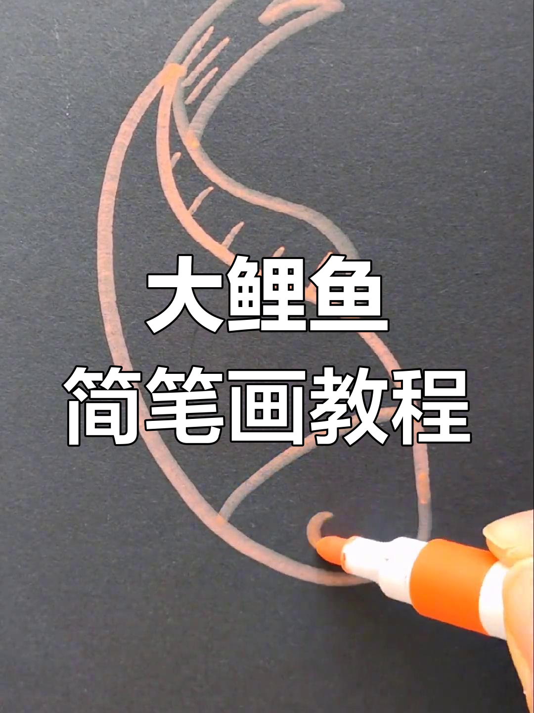 轻松学会画大鲤鱼