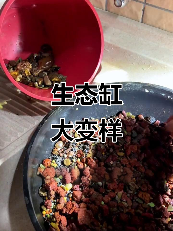耗时一晚,打造清新竹排流水造景,生态缸焕然一新