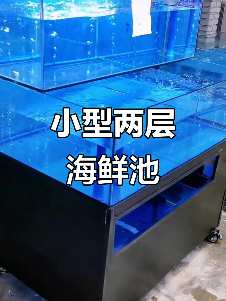 1.2米双层海鲜鱼缸,饭店酒店专用设计