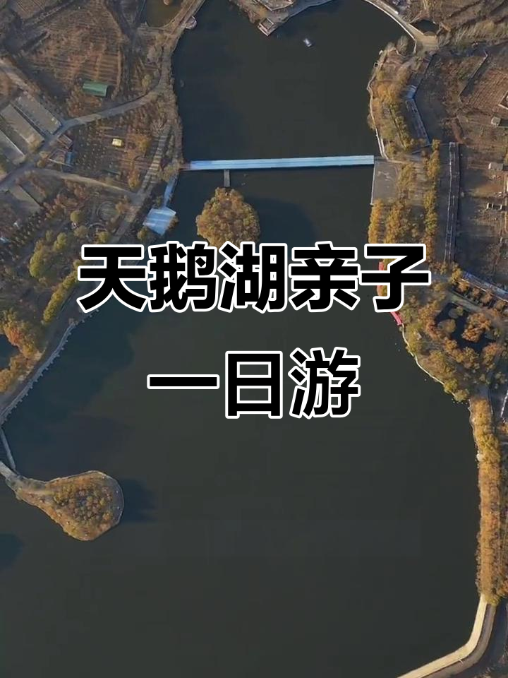 泰安天鹅湖亲子游全攻略：喂动物、看鹦鹉表演，乐趣多多