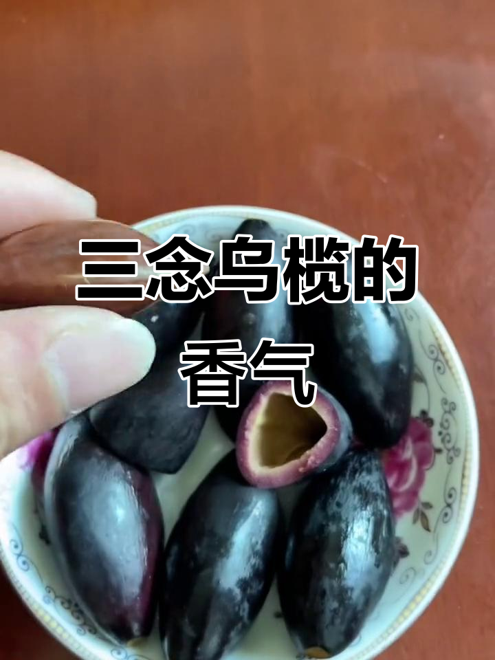 潮汕乌橄榄:吊思茅三念香,地道特产揭秘
