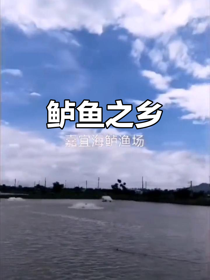 山水如画,鲈鱼鲜美,斗门美景令人陶醉