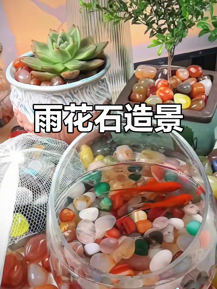雨花石点缀鱼缸,晶莹剔透,景色美得令人陶醉