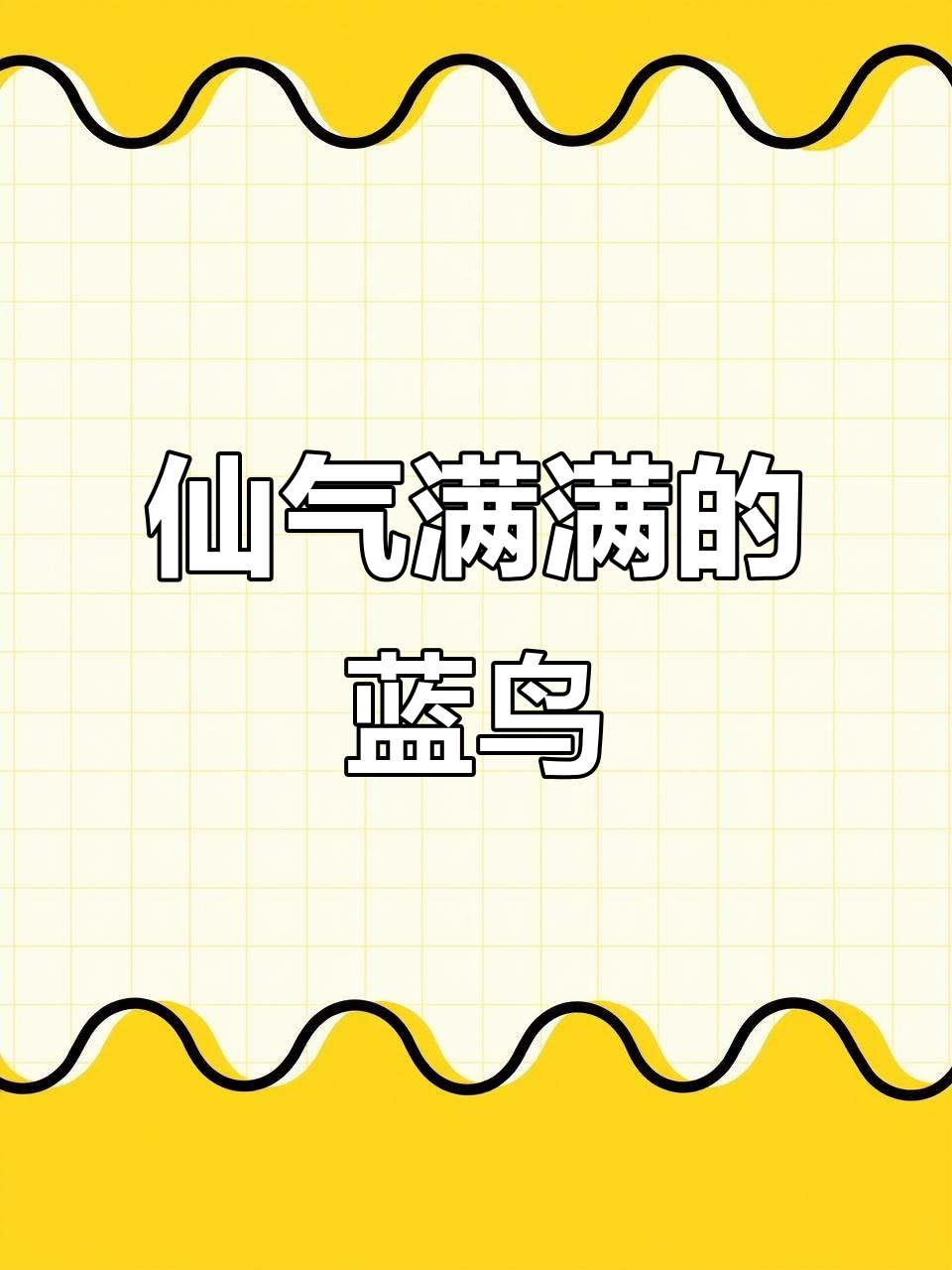 自带仙气的薄叶蓝鸟,露养多肉老桩的美妙变化