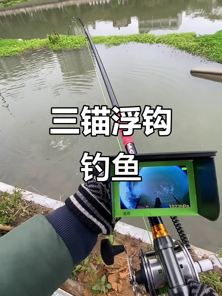 三锚浮钩捕鱼技巧,可视探鱼器助力中鱼