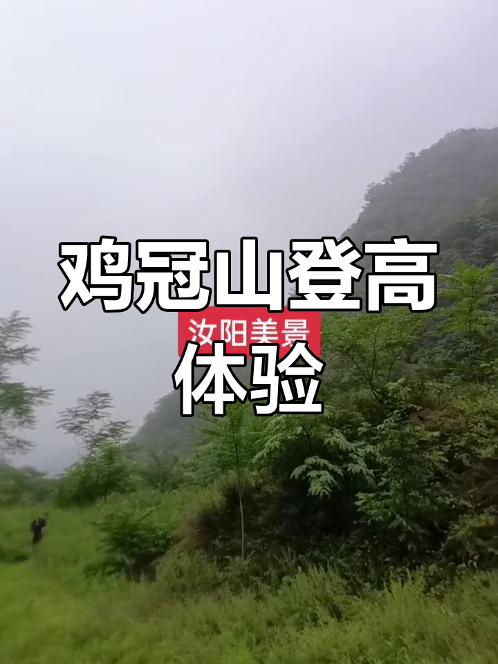 汝阳鸡冠山:登山爱好者的理想之地,免费景区等你来探