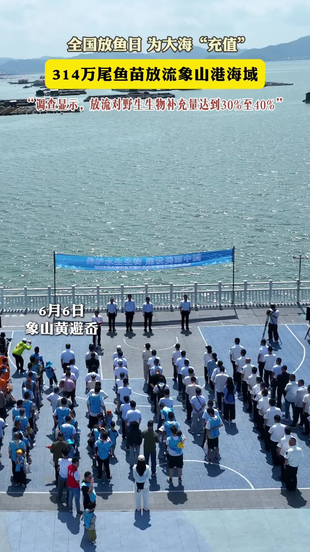 314万尾鱼苗游入大海,宁波增殖放流为大海“充值”