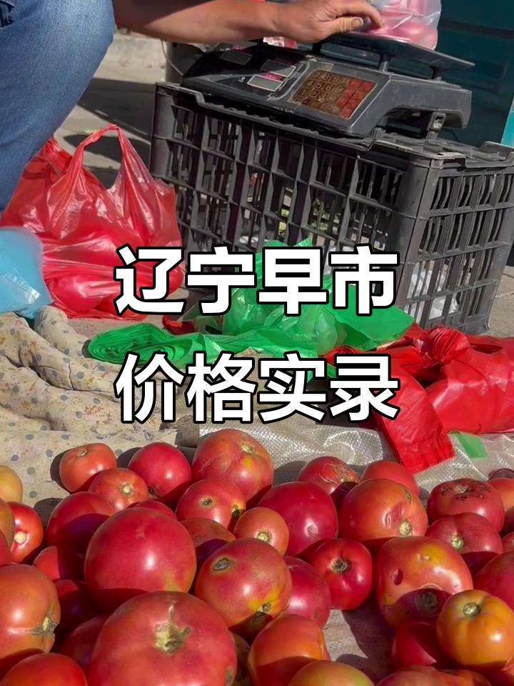 东北早市物价大揭秘：三毛钱一斤的苦瓜，两块钱一份油菜