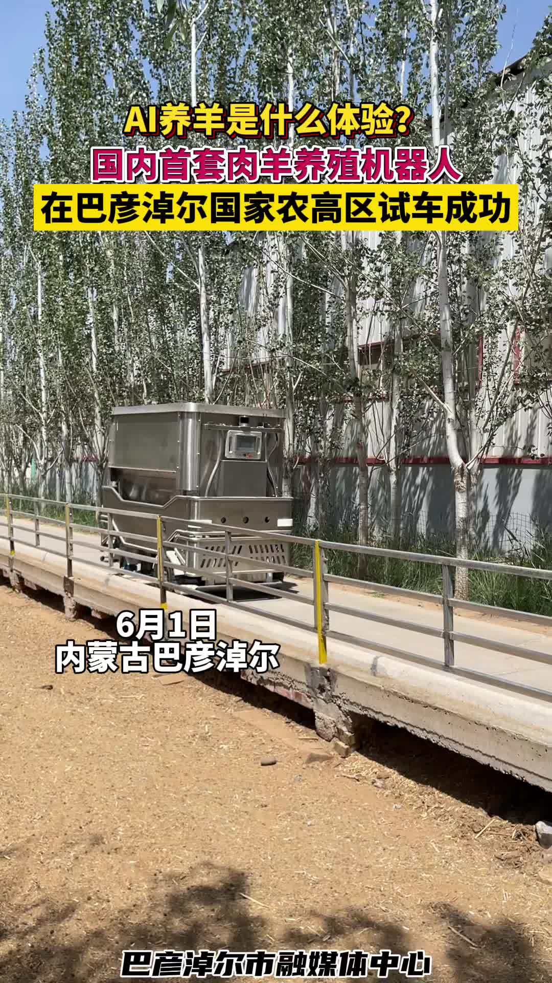 AI养羊是什么体验?国内首套肉羊养殖机器人在巴彦淖尔国家农高区试车成功 中国羊都巴彦淖尔 