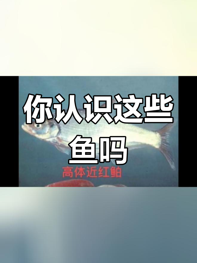 淡水鱼种类大揭秘