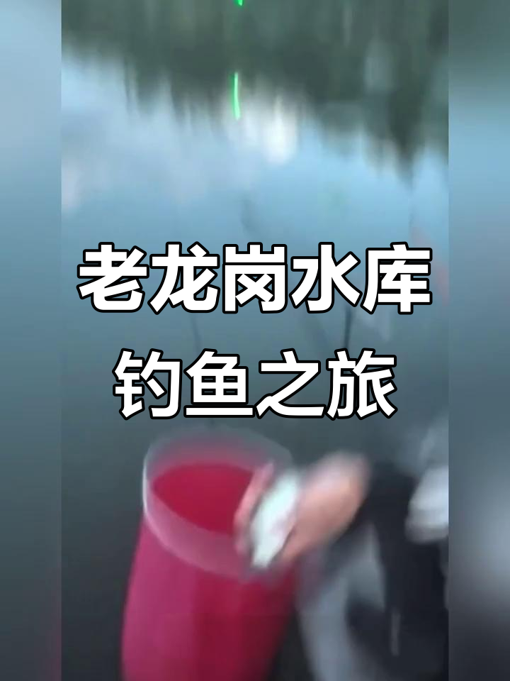 汤原鹤立镇老龙岗水库,钓友们的野钓天堂