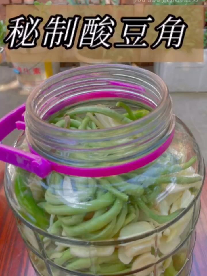 家庭自制腌酸豆角天花板一整个拿捏住!