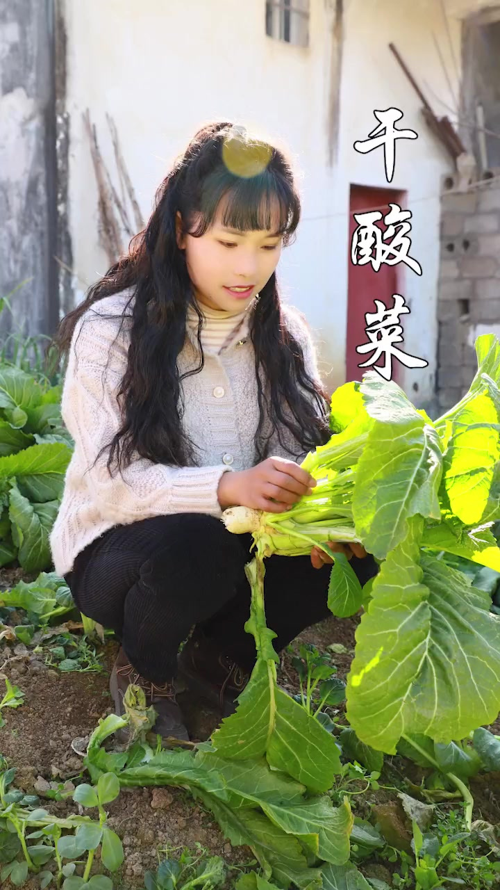 把地里的青菜,萝卜收回来做成酸菜,把美味存起来