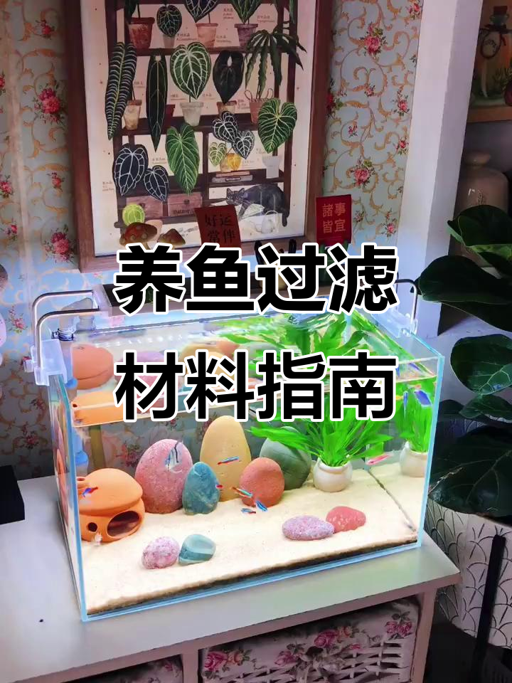 滤材摆放全解析,养鱼新手必看!