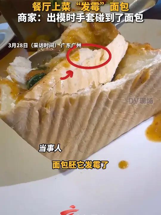餐厅上菜“发霉”面包,商家:出模时手套碰到了面包