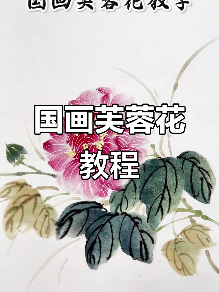 芙蓉花国画技巧：从花瓣到叶子的完美呈现