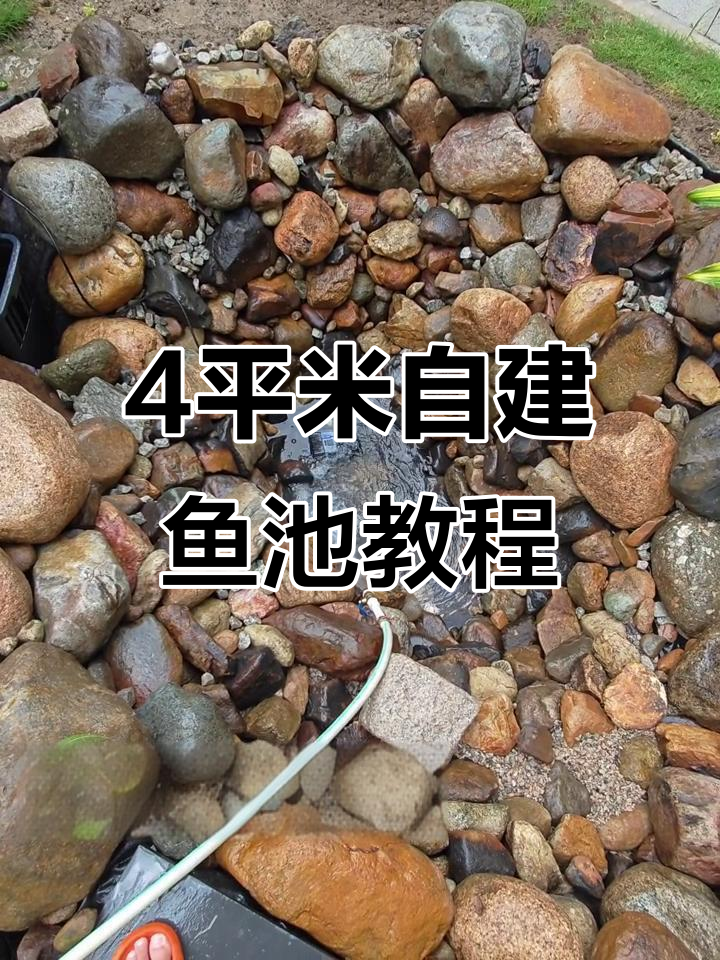 自建4平方生态鱼池全攻略,打造跌水造型与防渗系统