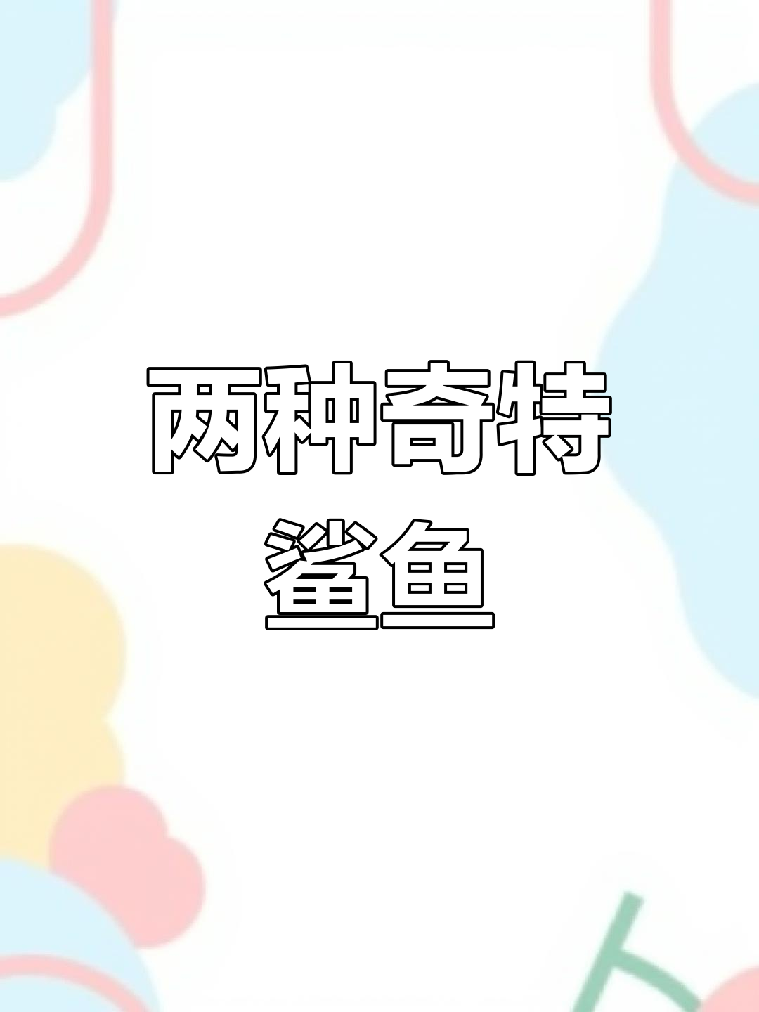 深海中的神秘鲨鱼:哥布林鲨与锤头鲨的对比