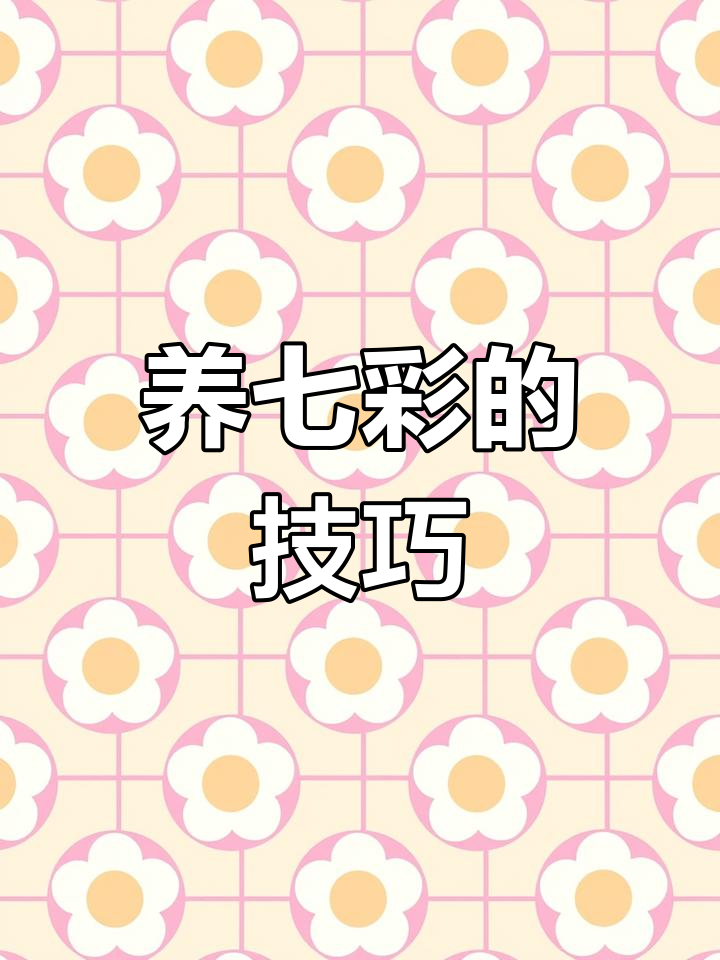 七彩神仙鱼需白色背景,避免颜色变深失去观赏性