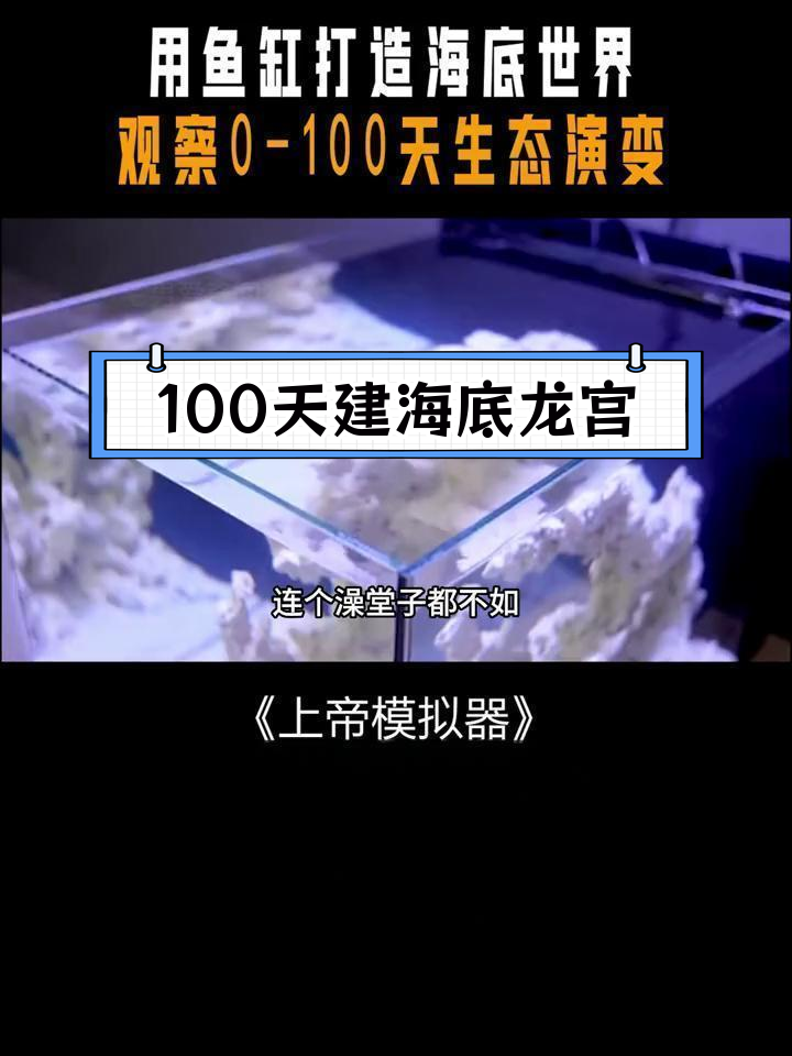用鱼缸打造海底世界,蜗牛与蟹的奇妙探险