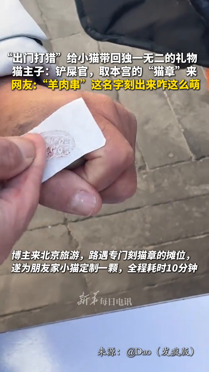 “出门打猎”给小猫带回独一无二的礼物