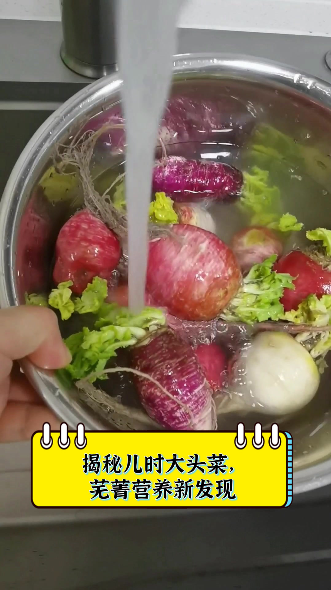 揭秘儿时大头菜,芜菁营养新发现