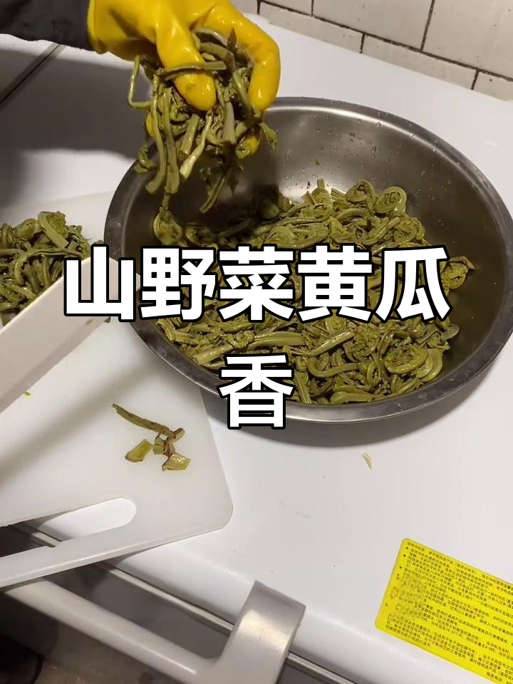 东北山野菜黄瓜香:香气扑鼻,包饺子炒凉拌都美味