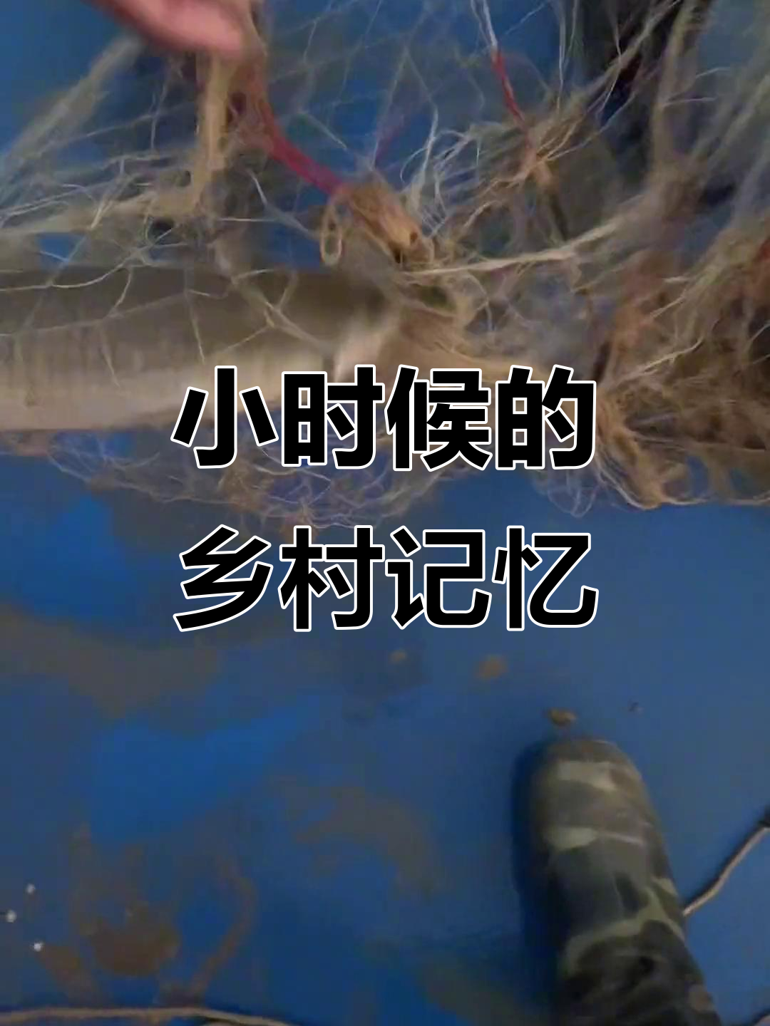 童年趣事:捉鱼、赶鸡,生活虽苦却充满乐趣