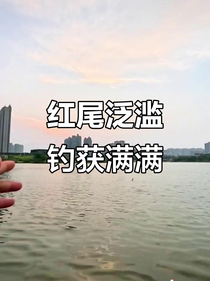 捞刀河红尾泛滥,钓鱼王连杆大丰收