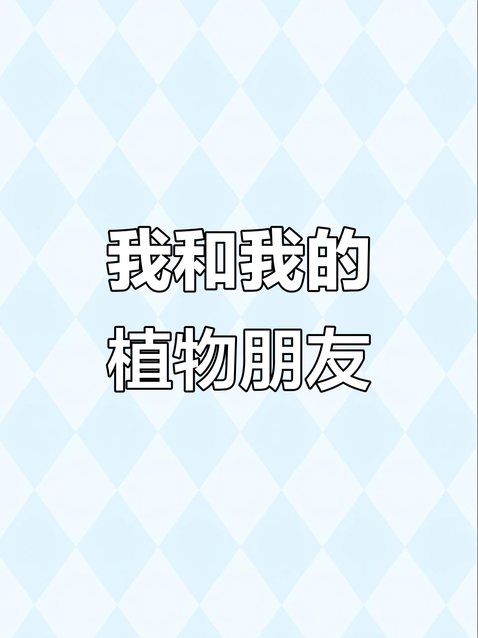 我的植物朋友：多肉玉露的成长与陪伴